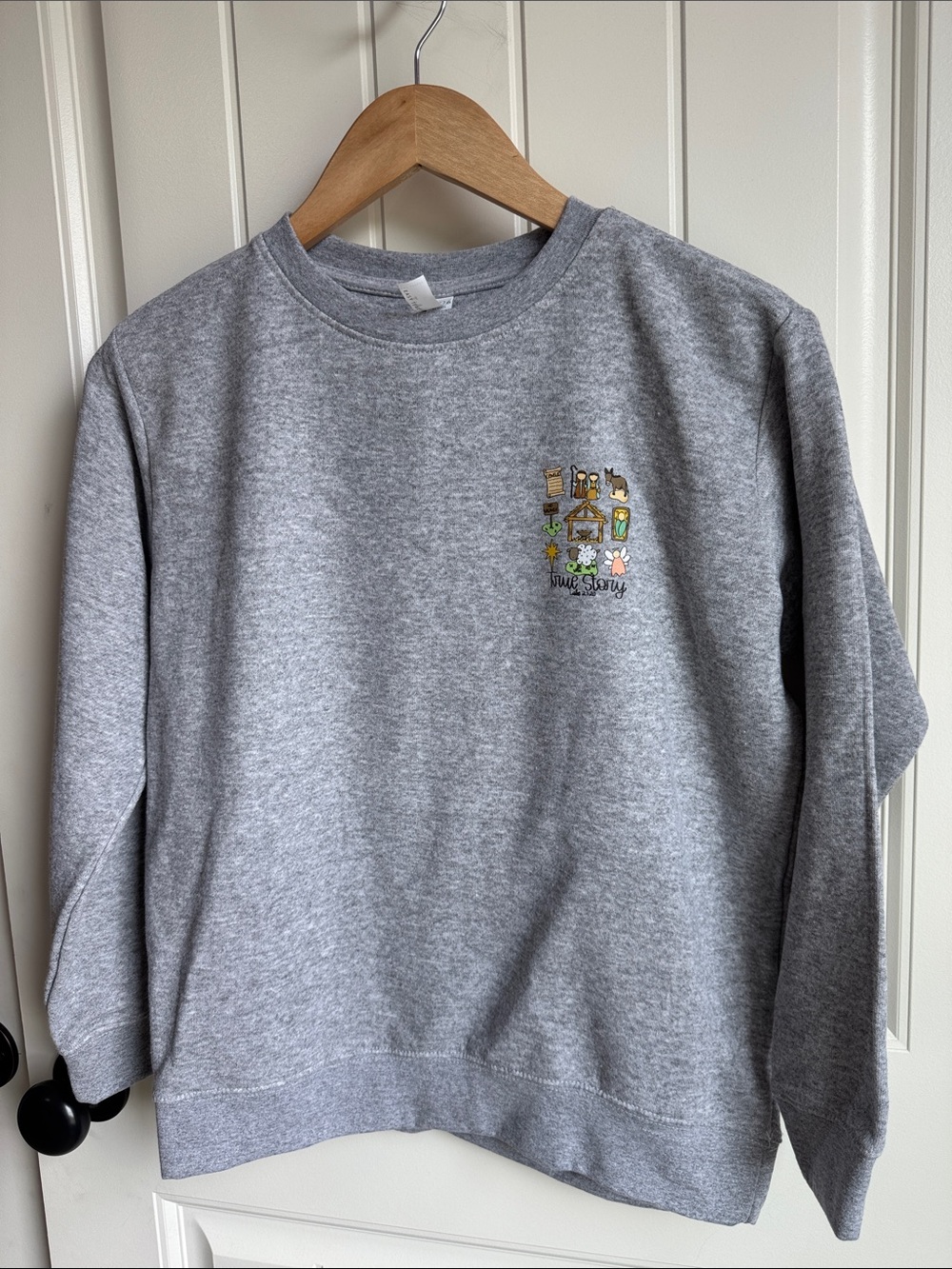 True Story Nativity Christian Sweatshirt Youth Sizes | Crewneck Graphic Pullover